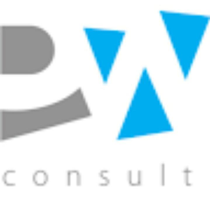 Porter's World Consult